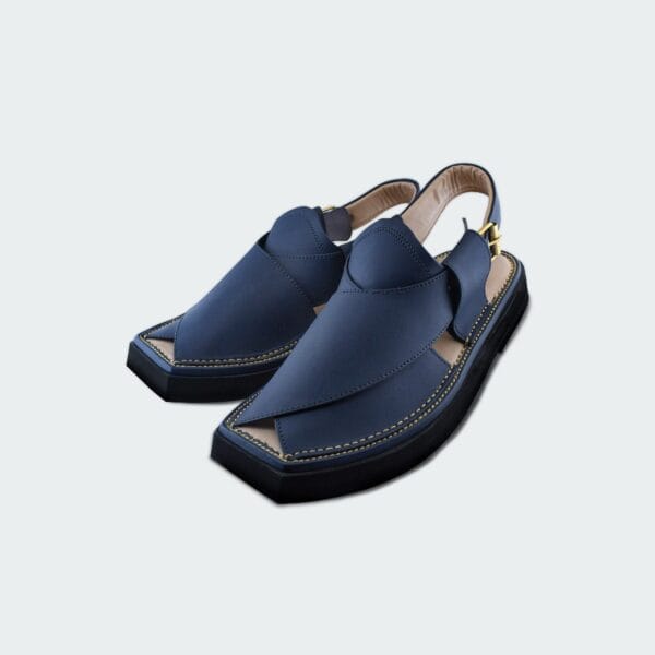 PESHAWAR ZALMI KHERRI CHAPPAL