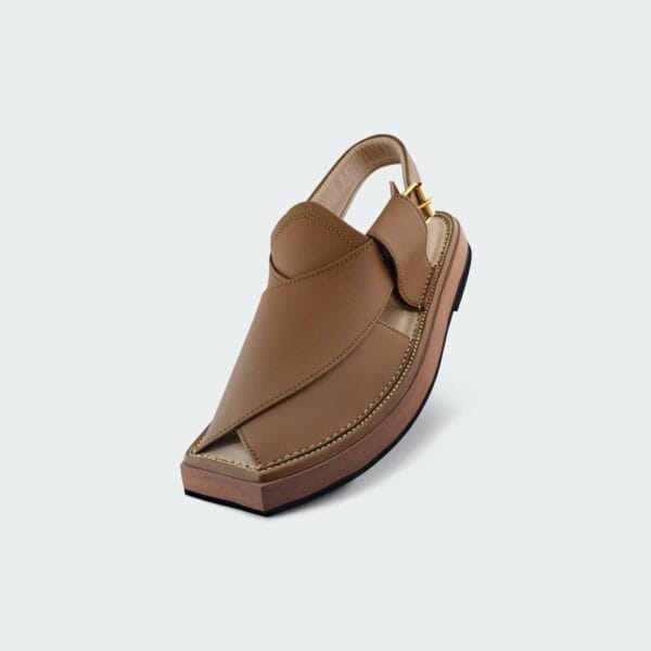 PESHAWAR ZALMI KHERRI CHAPPAL